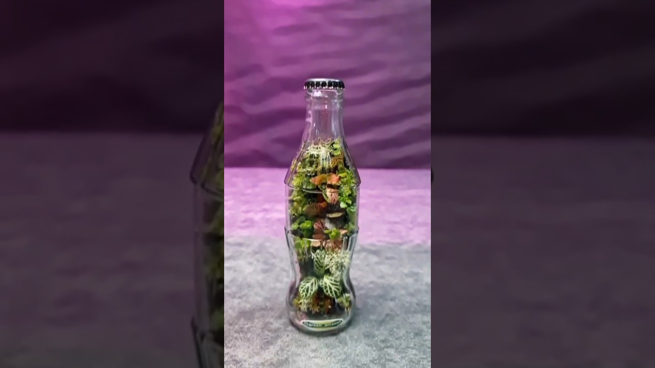 Coca-Cola is the greenest green ever.😁😍😘⚘️