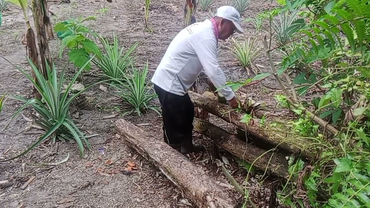 MANTUN RUMPUT BA KEBUN.