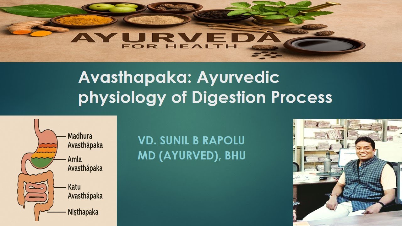 Avasthapaka Physiology of Digestion Process