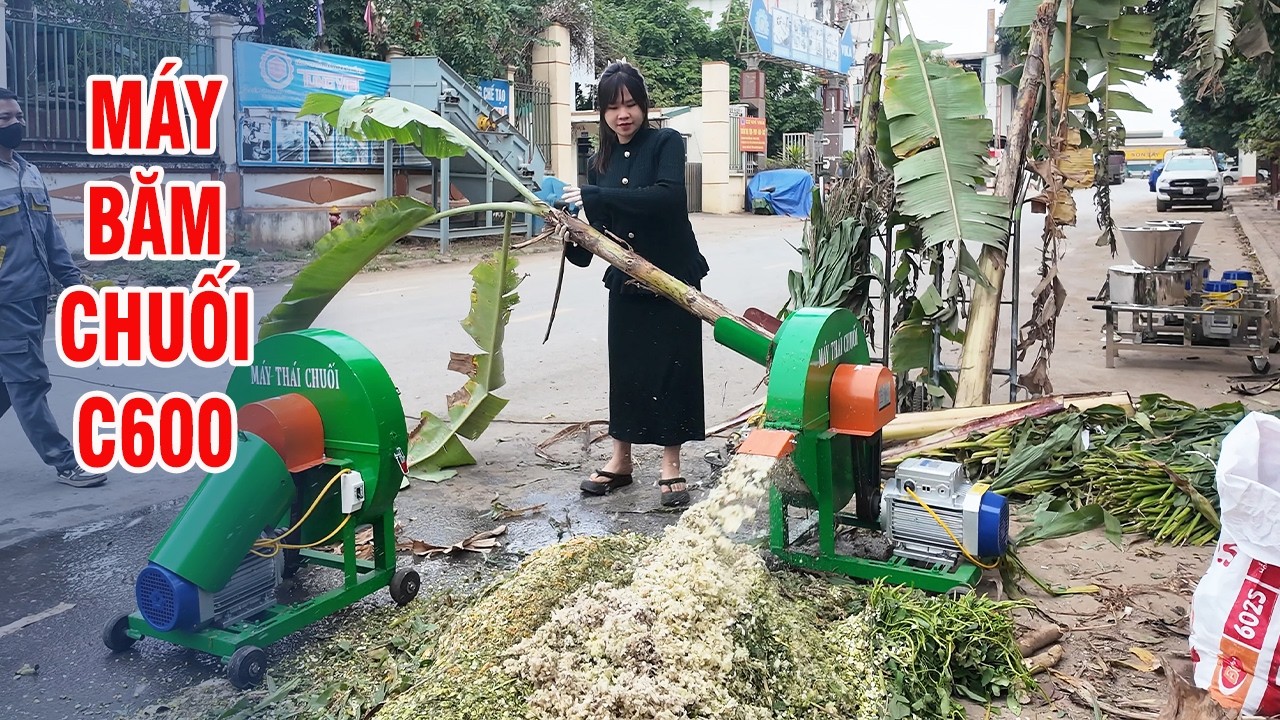 Thử Sức Băm Cây Chuối Siêu To Với Đường Kính 20CM Cùng Bà Bầu