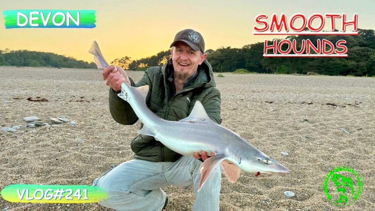 Beach Fishing For Big SMOOTH-HOUNDS | The UP and Over RIG Strikes Again! | Vlog#241