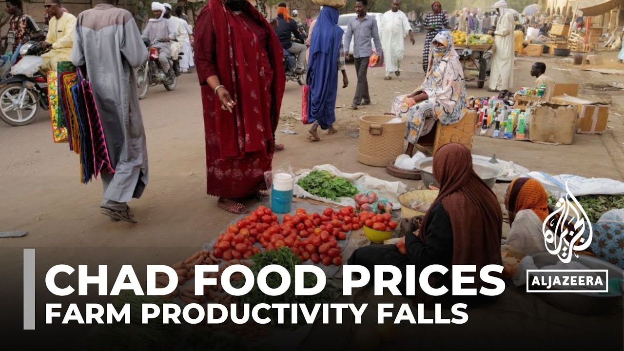 Chad food prices: Millions go hungry as farm productivity falls