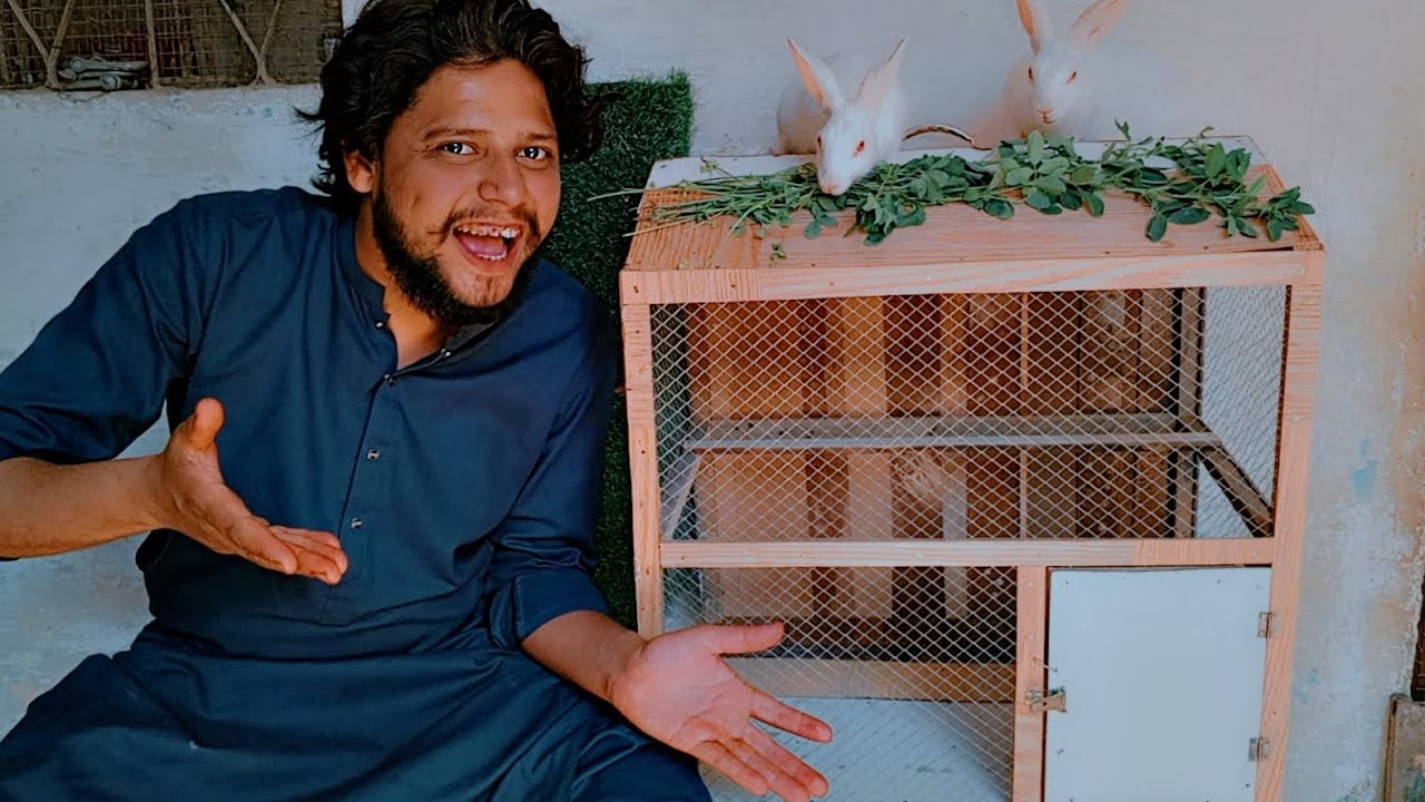 Surprise! Rabbits Ka Naya Ghar 🐰🎁