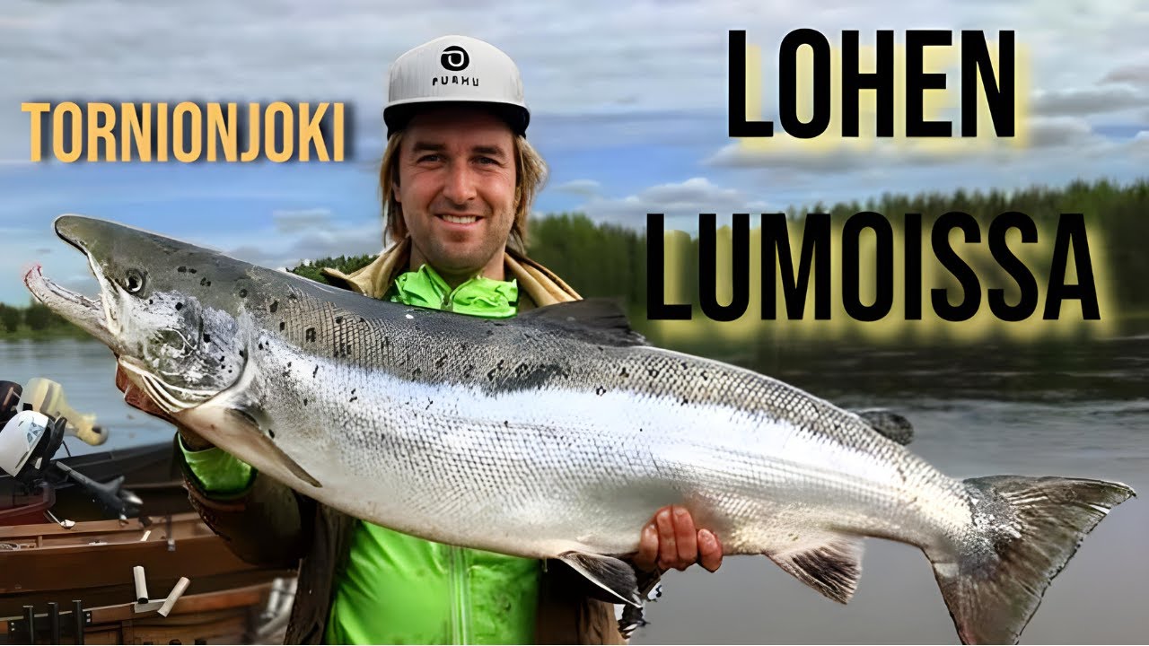 Tornionjoen lohien perässä: Lohikesän kohokohdat