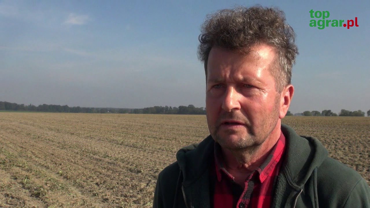 Gleby zakwaszone natychmiast potrzebują wapnowania
