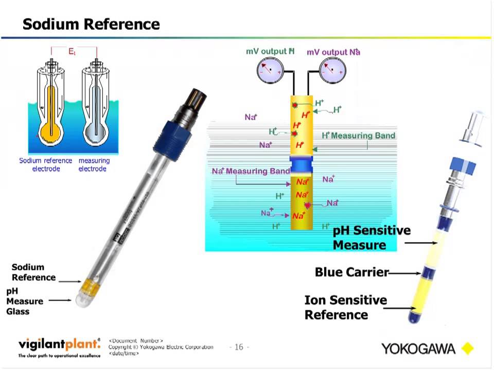 Webinar: The Difference Between Traditional and Sodium pH References
