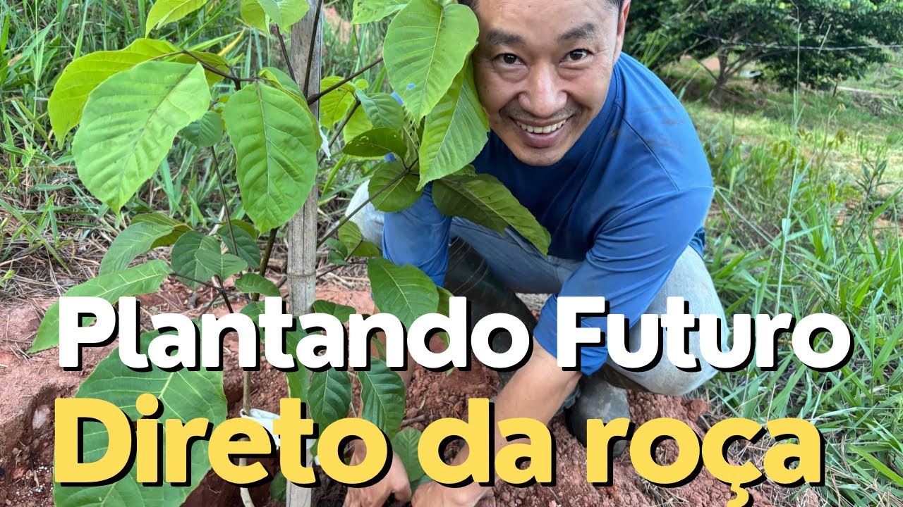 Dia Produtivo no Sítio 🌳 Plantando e Cozinhando