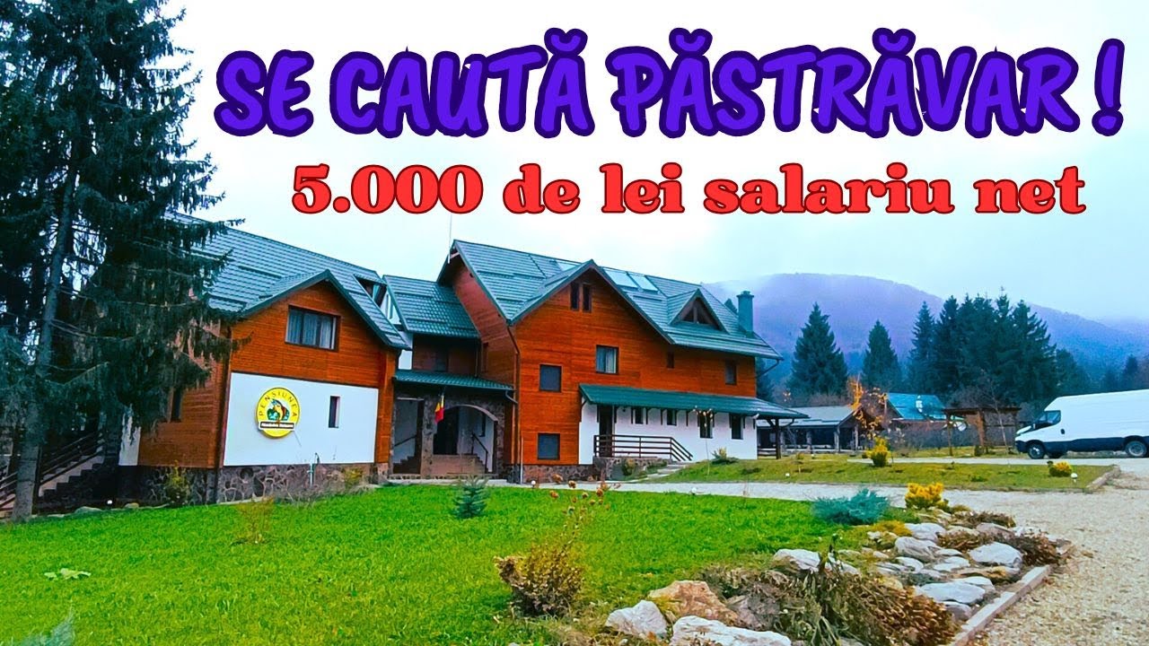 Cum poți caștiga 5000 de lei într-un loc de vis! Păstrăv proaspăt și răsfăț la poalele munților.