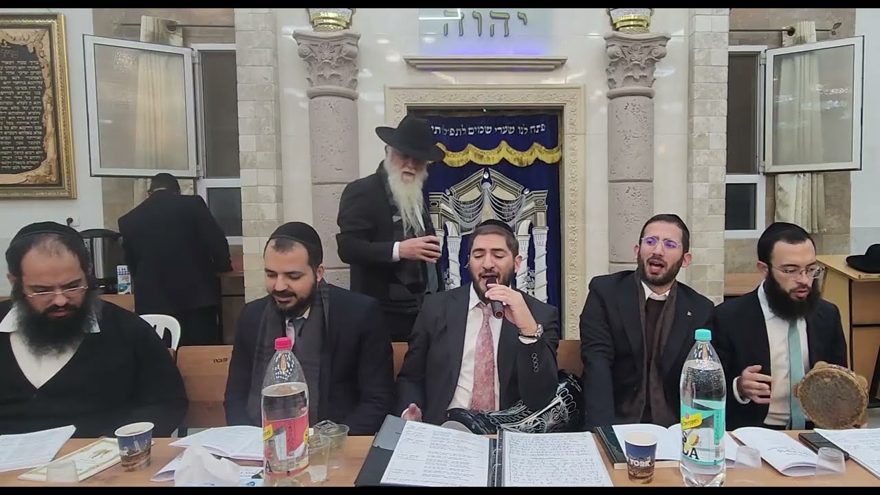 דודי ירד לגנו (חלק א) מתוך בקשות פרשת מקץ