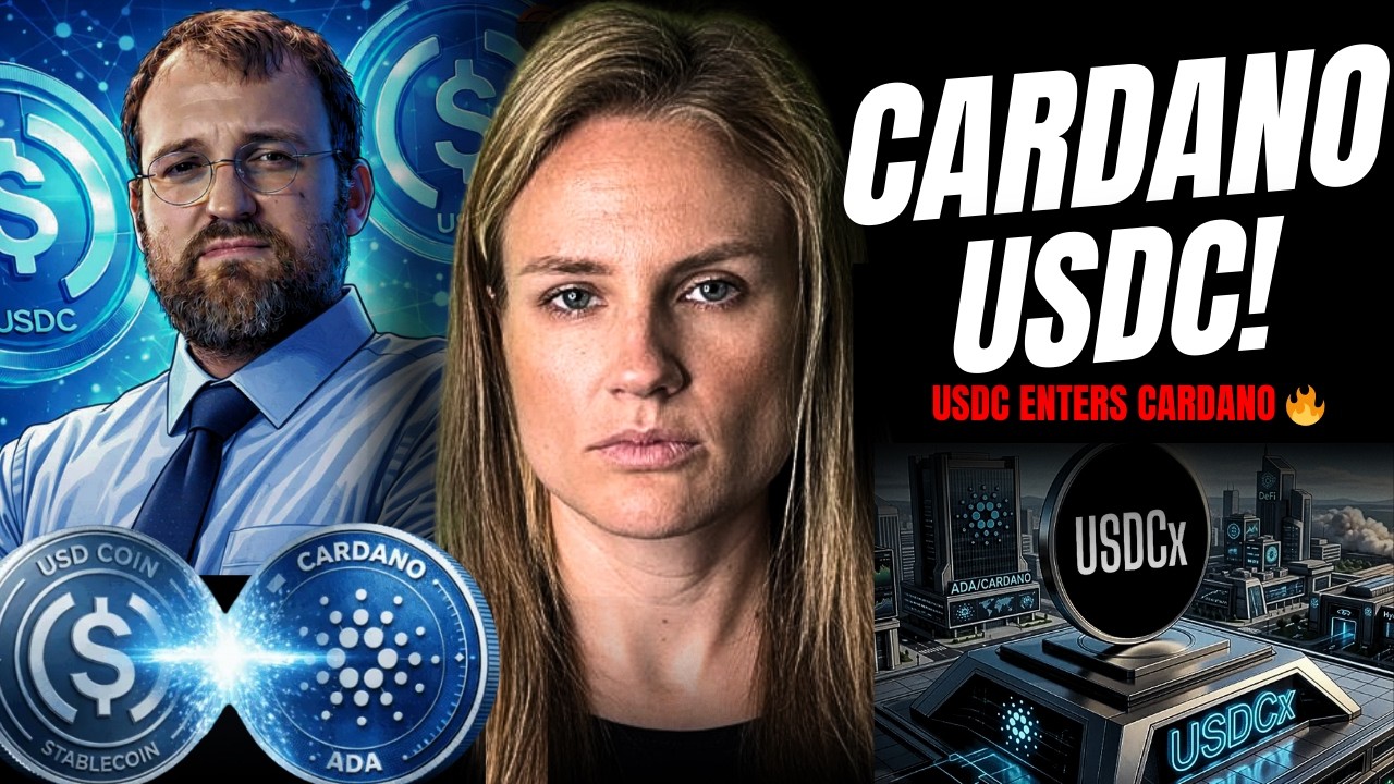 CARDANO WŁAŚNIE DOSTAŁO USDC (TO ZMIENIA CARDANO DEFI)