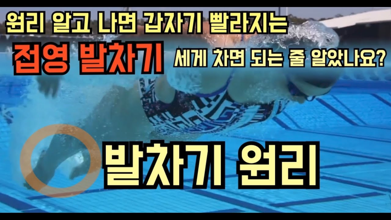 접영 빨라지는 방법-킥으로-(접영발차기,자유형배영발차기)