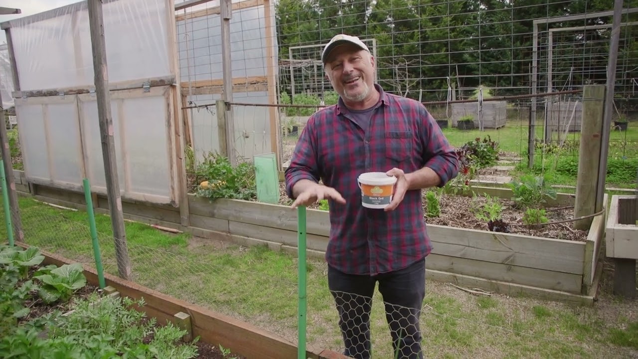 The Importance Of Calcium! Tracking the nutrients to your plants