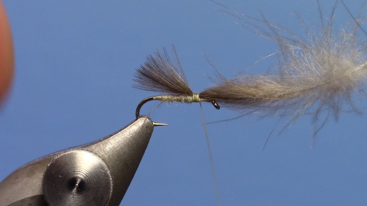 CDC Adult Midge