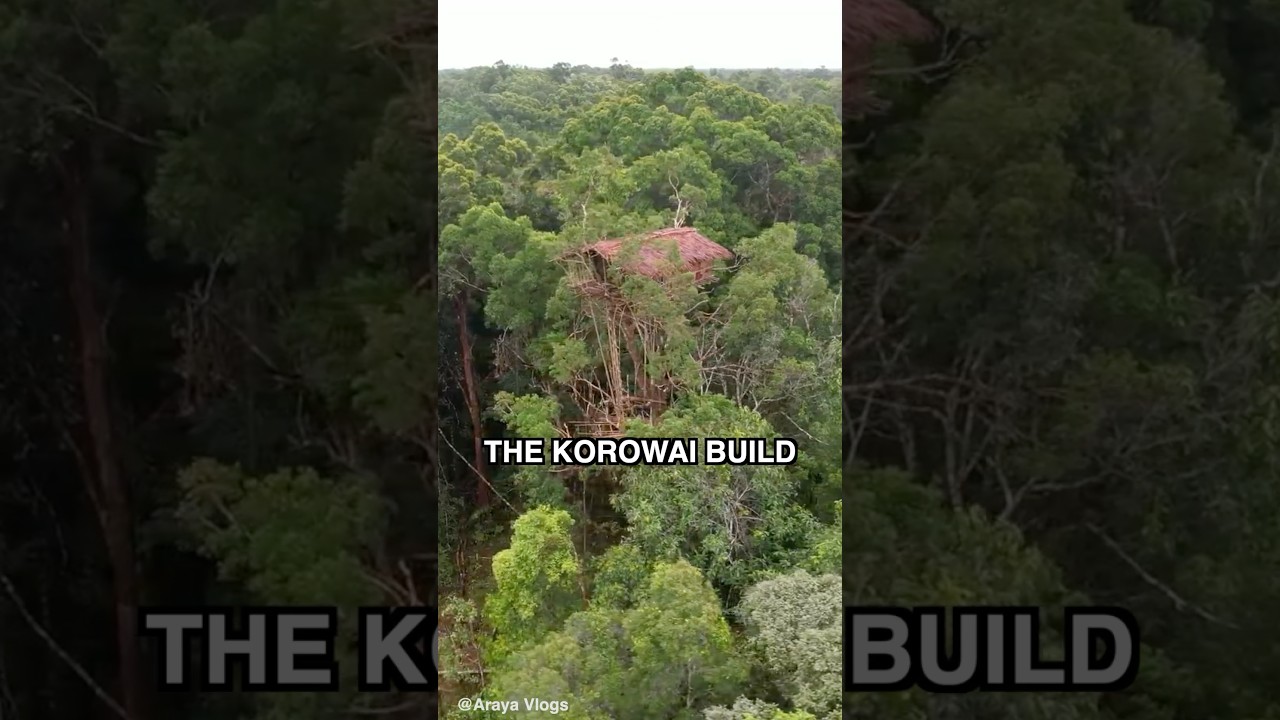 This Tribe Lives In Trees (200ft High!)