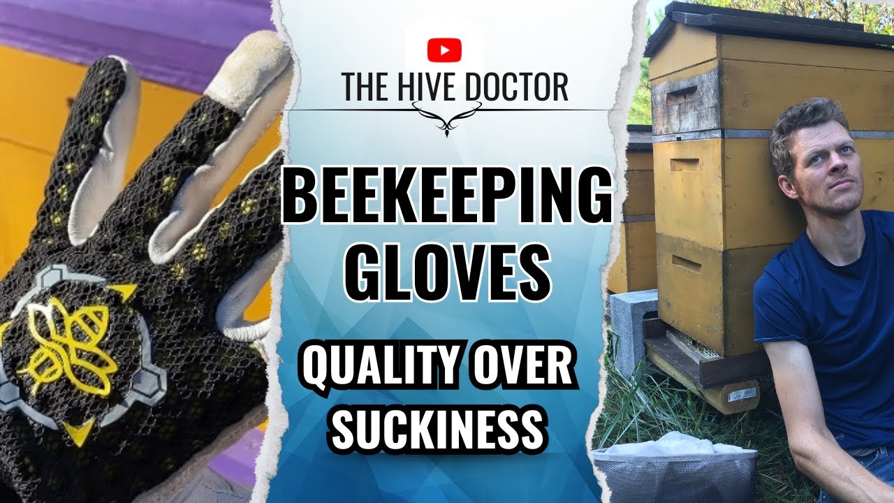 Beekeeping Gloves: Quality over Convenience 