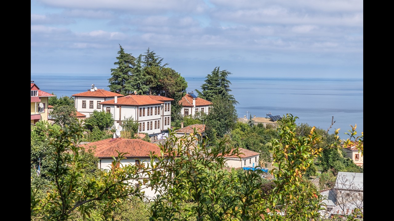 Trabzon'un &ccedil;ınarı (Pulathane) Ak&ccedil;aabat...
