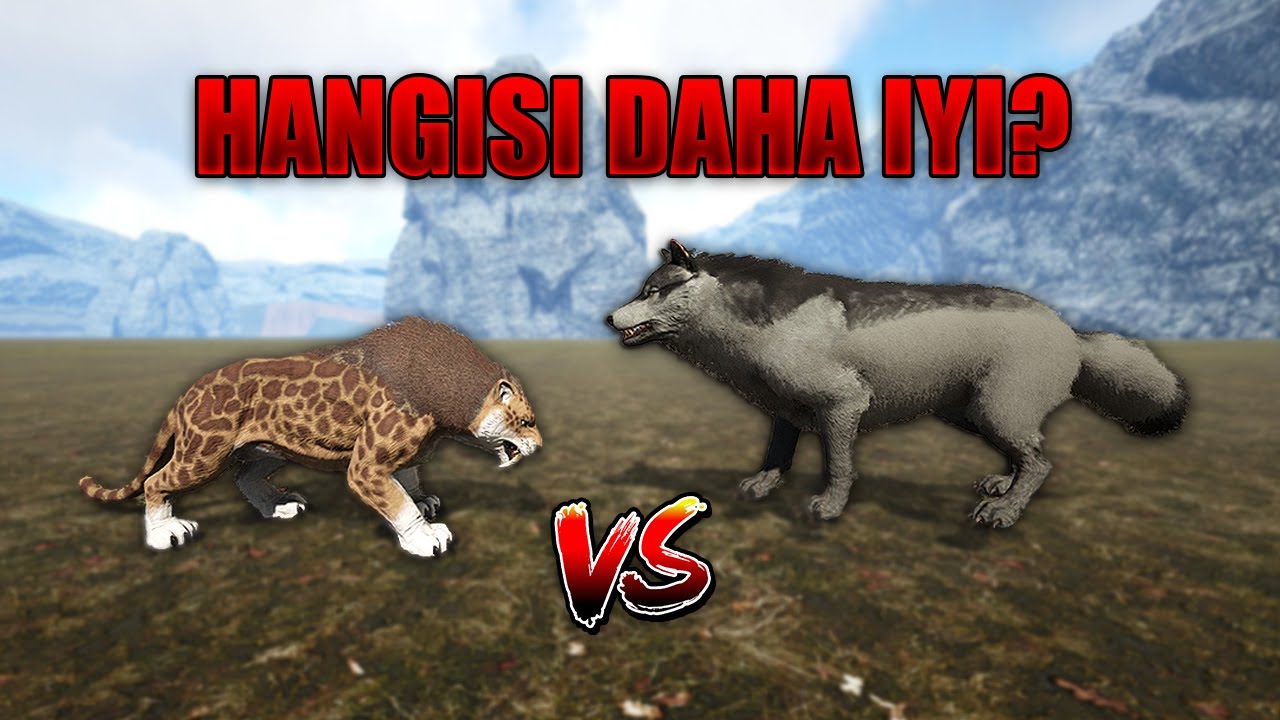 Dire Wolf 🐺 vs Sabertooth 🐯 | Hangisi DAHA İYİ??? ⚔️🔥 - ARK: Versus Evolved #1