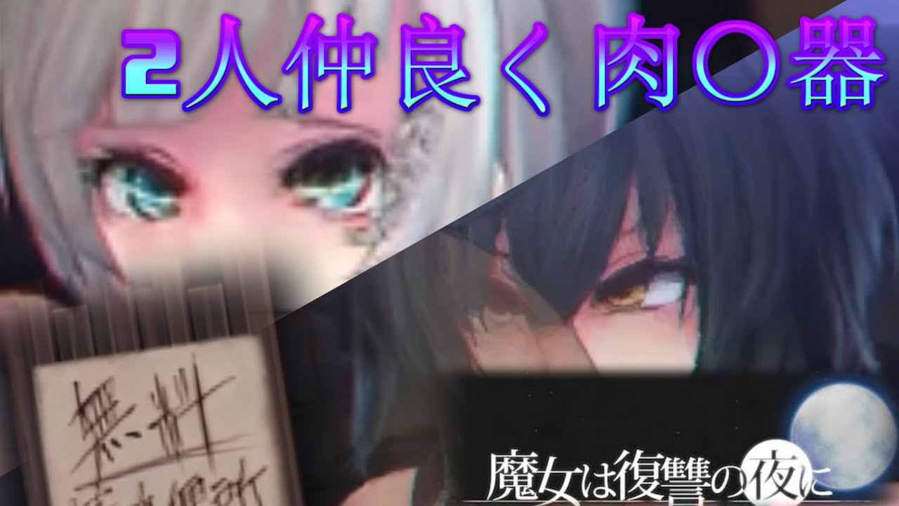 可愛い女の子が肉便〇にされるリョナゲー！魔女は復讐の夜に#12