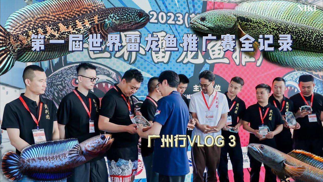 长城杯第一届世界雷龙鱼推广赛全记录【广州行vlog3】