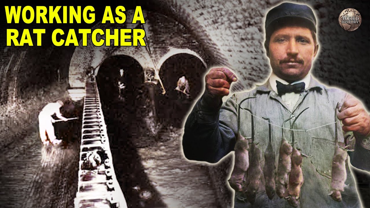 The Bizarre History of Professional Rat-Catchers