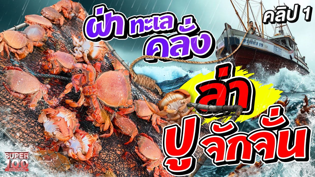 คลิป 1 | ออกเรือครั้งละแสน อาชีพที่ไม่ใช่ใครก็ทำได้ #ไต๋ต้อม ชาวประมงนักล่าปูจักจั่น | SUPER100