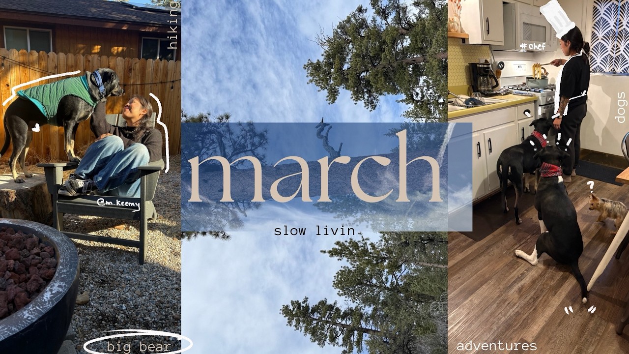spending cozy time at big bear 🌲 hiking, cooking, + of course, dogs 🐕