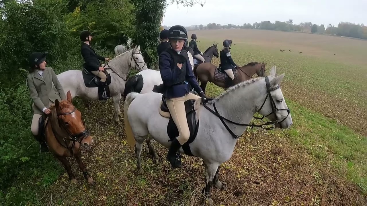 South Down Bloodhounds hunt at Avington 3/11/24 petals first time out this season