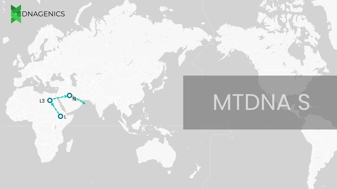 MTDNA S - DNAGENICS