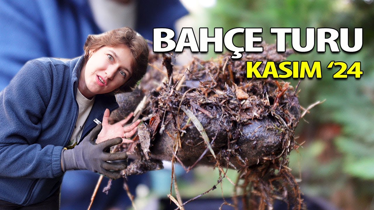 Kasım Bahçe Turu | Kompost Kutusu Teftişi | Bahçede Neler Oluyor?