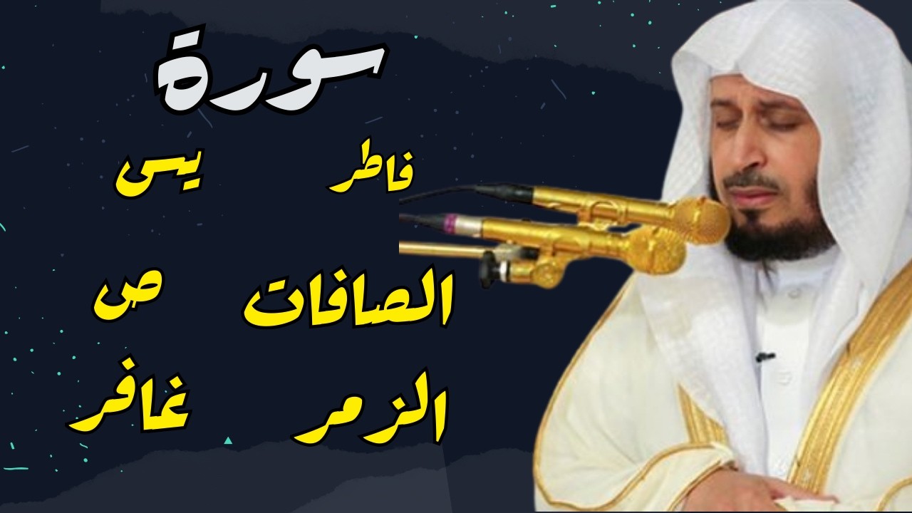 تلاوة خاشعة من القرآن الكريم بصوت سعد الغامدي 🌿 | راحة نفسية ونوم هادئ