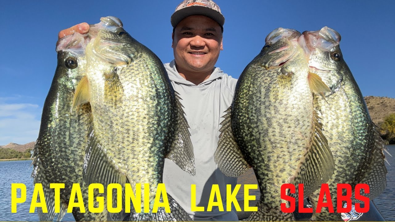 how to catch crappie - Patagonia lake, Southern Arizona