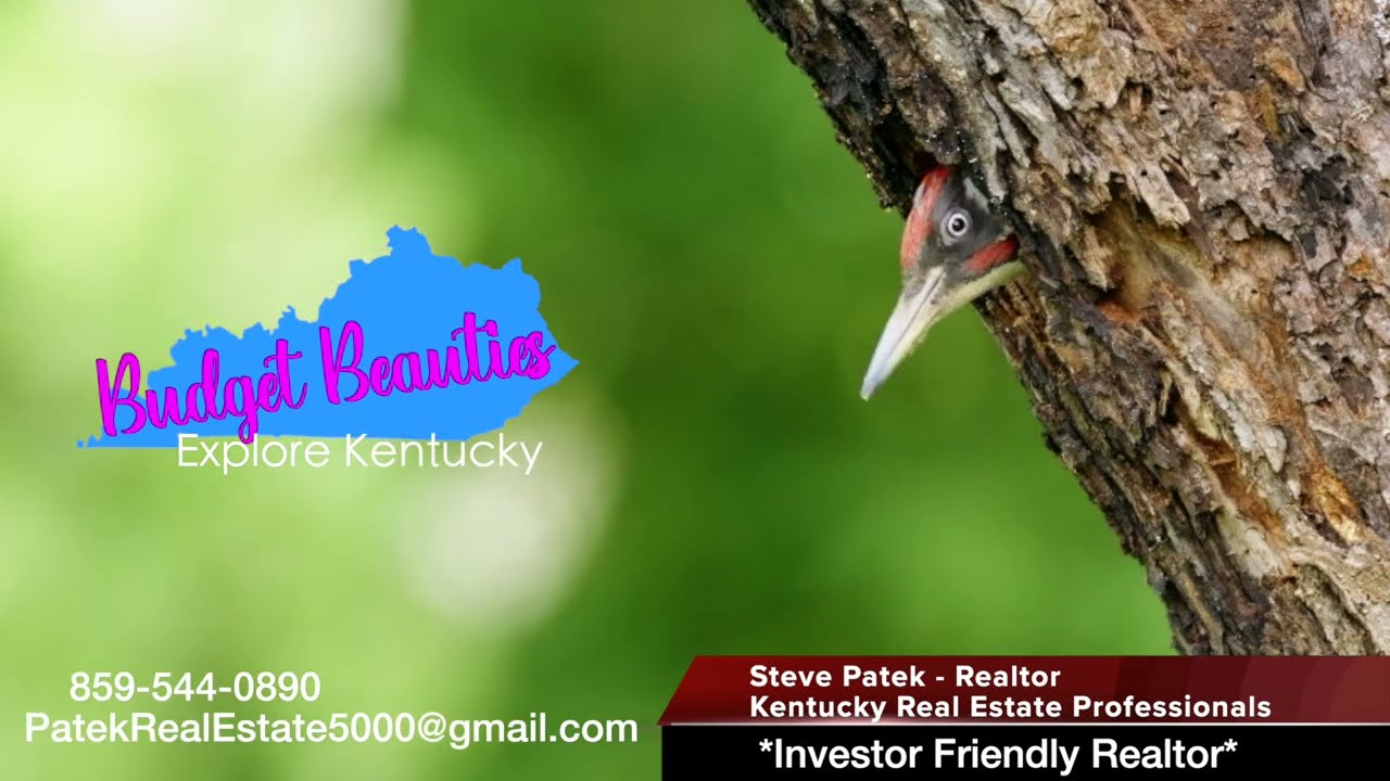 Budget Beauties: Hiking the Pinnacles (Indian Fort Mountain) | Berea, KY Real Estate & Nature Tour
