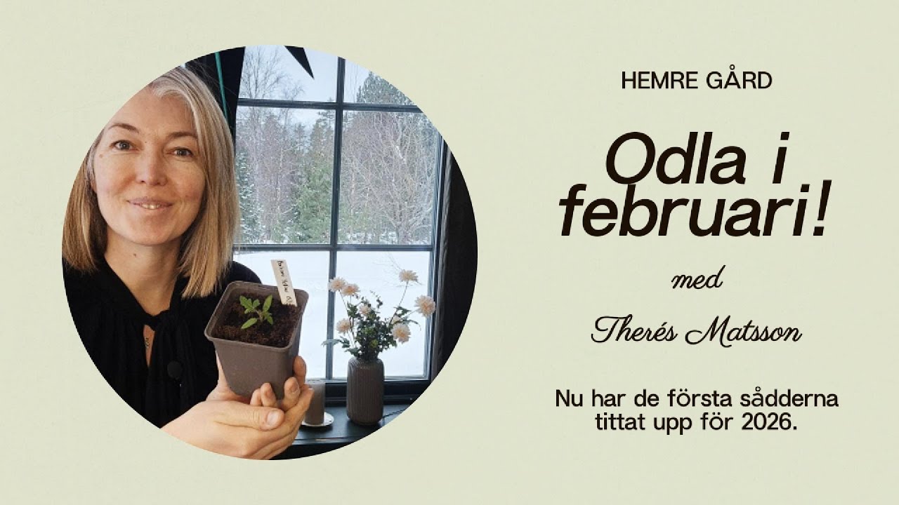 Odla i februari