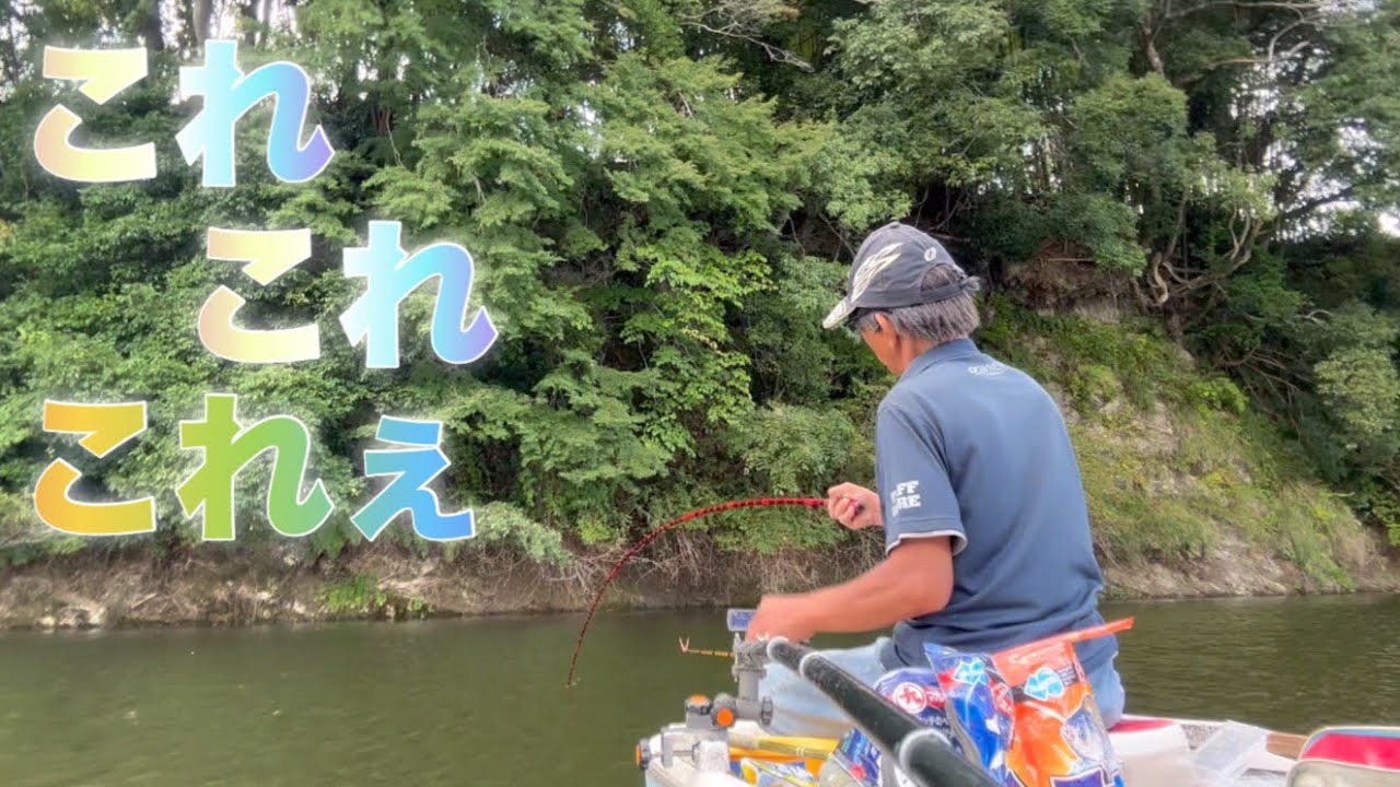 《へらぶな釣り to 三島湖》穂先久しぶりに持ってかれたぁ🤣これぞチョウチンの醍醐味😆長ければ長い程楽しいでござんす😂