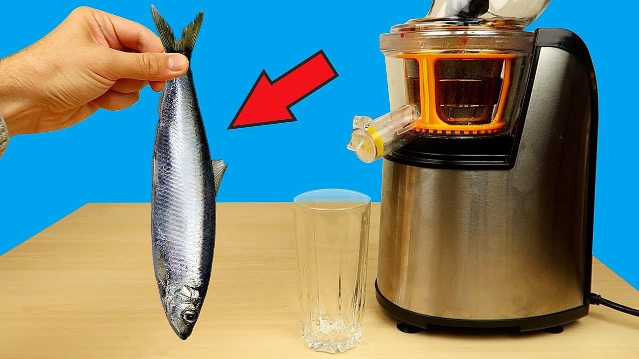 ¡POBRE EXPRIMIDOR! JUGO de arenques, espadines y palitos de cangrejo