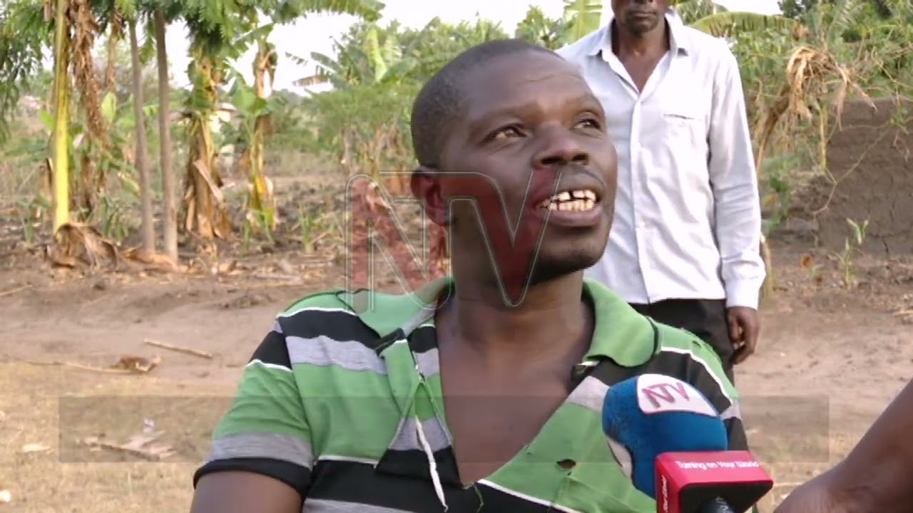 How displaced Bududa residents are coping in Kiryandongo