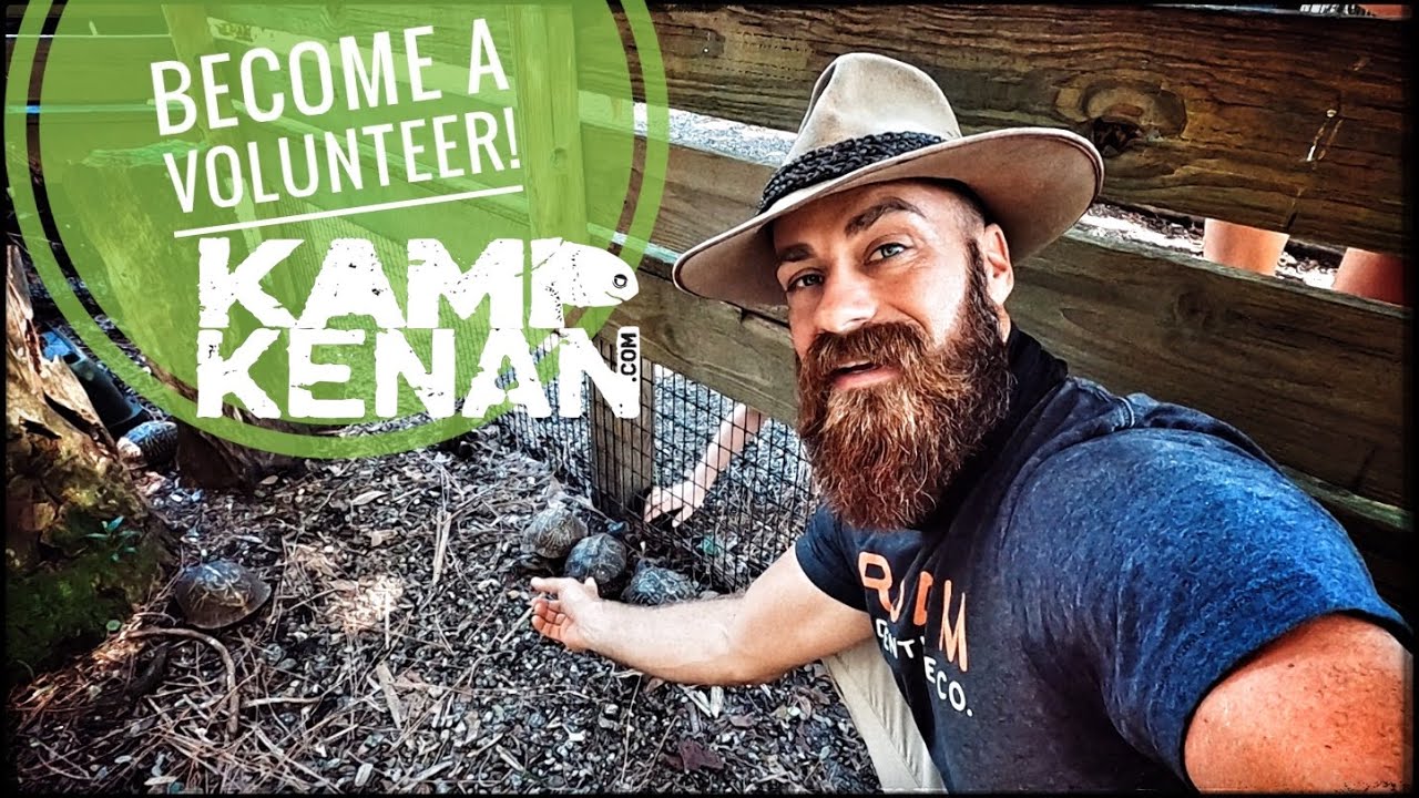 Rescued Florida Box Turtles & Gopher Tortoises