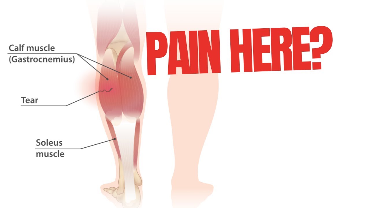 Rehab for Calf muscle strain injury. Tests  and Exercises included
