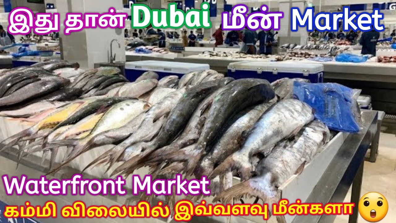 Dubai Fish Market🐠 Dubai Waterfront Market | Fish Market Dubai  #malarkarthick