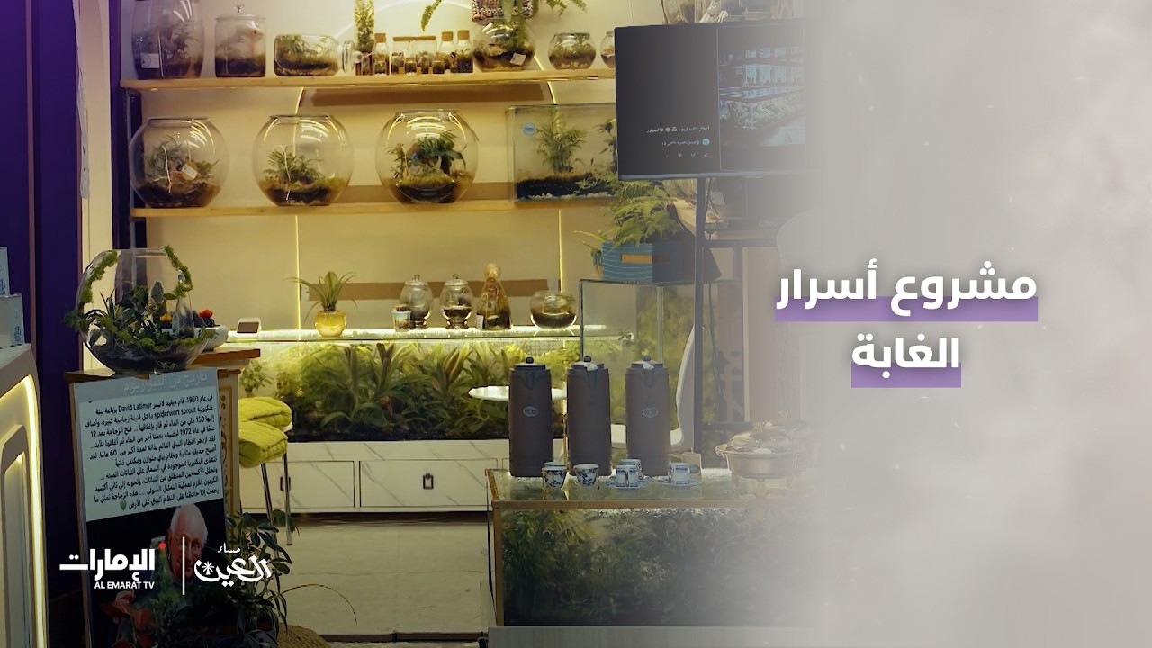 مشروع 