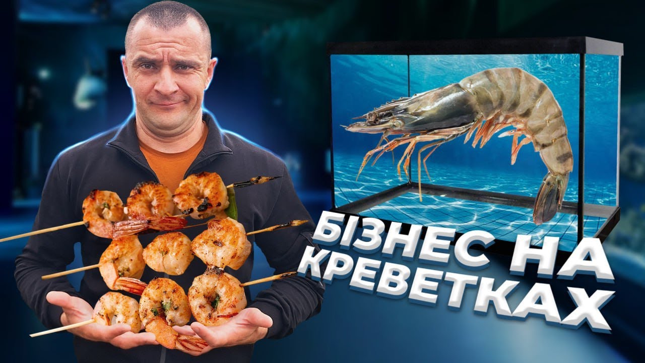 ЯК ВИРОЩУЮТЬ ГІГАНТСЬКИХ КРЕВЕТОК? БІЗНЕС НА КРЕВЕТКАХ