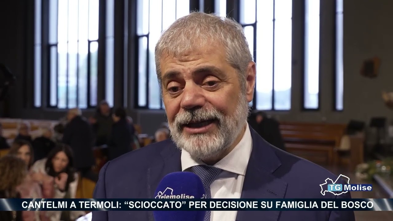 Cantelmi a Termoli: “Scioccato” per decisione su famiglia del bosco