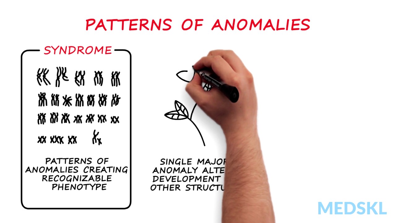 Pediatrics &ndash; Congenital Anomalies: By Daryl Scott M.D.