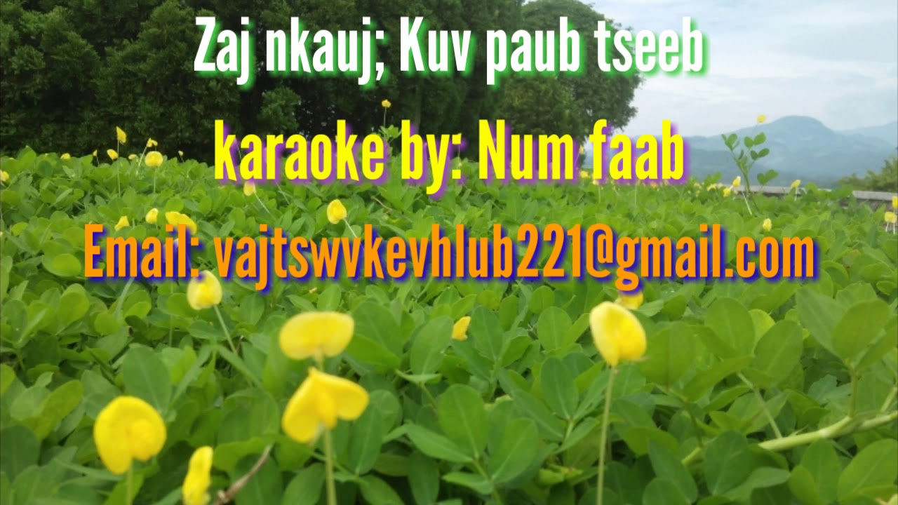 Phoo nkauj 100 : zaj 96 Kuv paub tseeb. karaoke