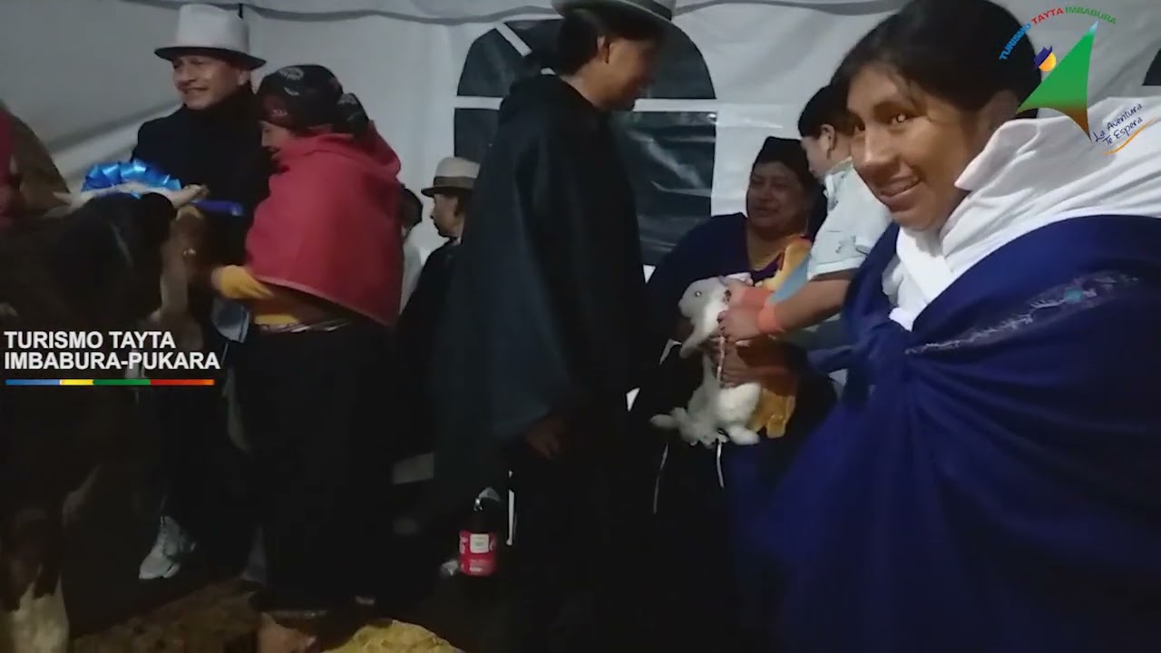 PEDIDO DE PADRINO EN PUKARA | TRADICION KICHWA EN ECUADOR | TURISMO TAYTA IMBABURA PUKARA LODGE