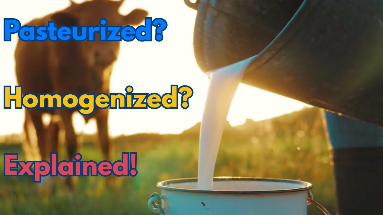 What REALLY Happens to Milk Before You Drink It? Pasteurization, Homogenization & Label Secrets