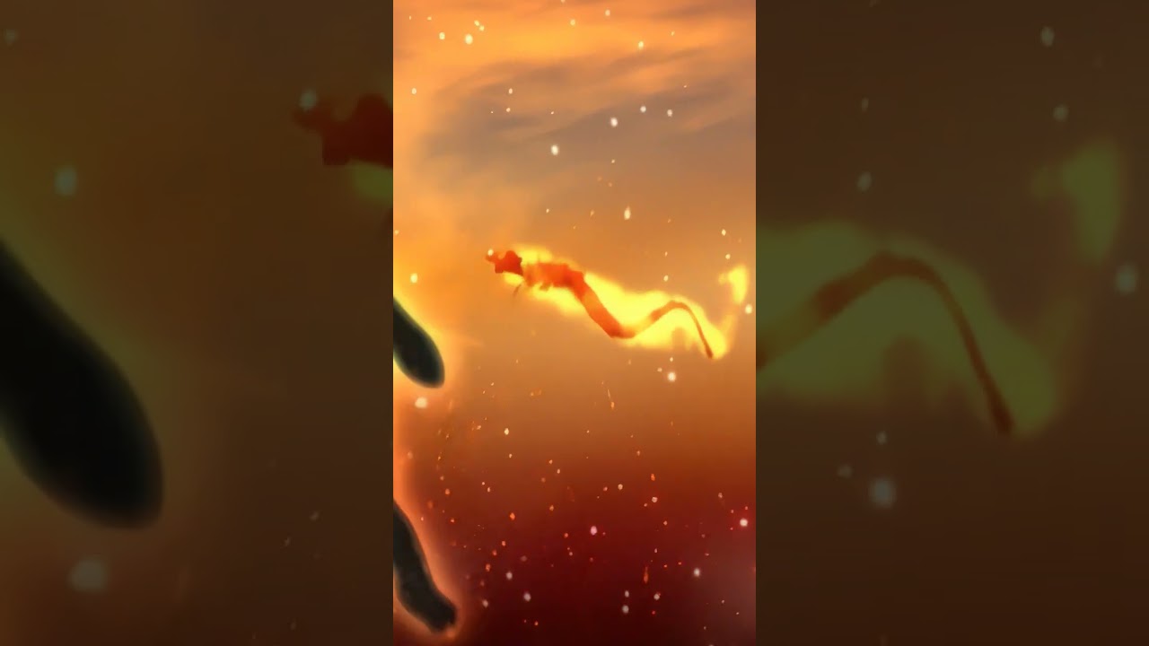 Veja a evolução da Bloom ao longo de cada transformação 🔥 