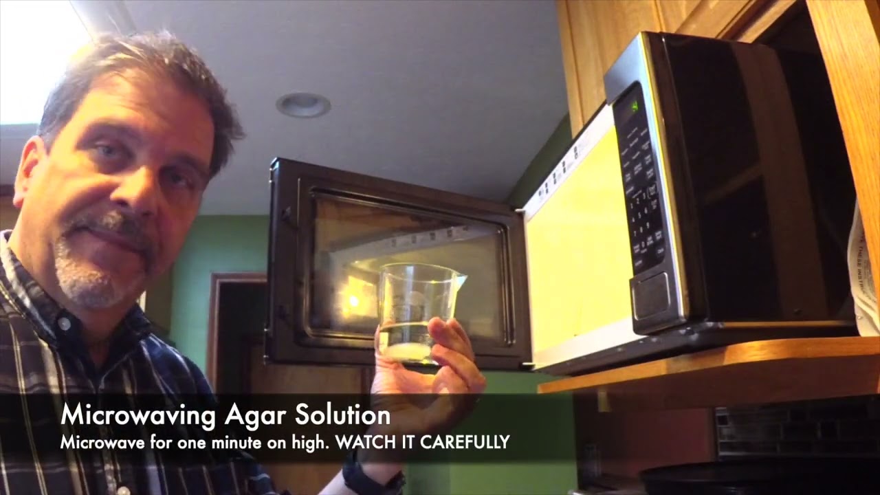 Making Agar Hydrogels