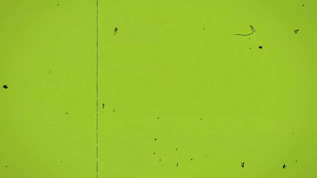 FILM DAMAGE EFFECT GREEN SCREEN (LOOP)
