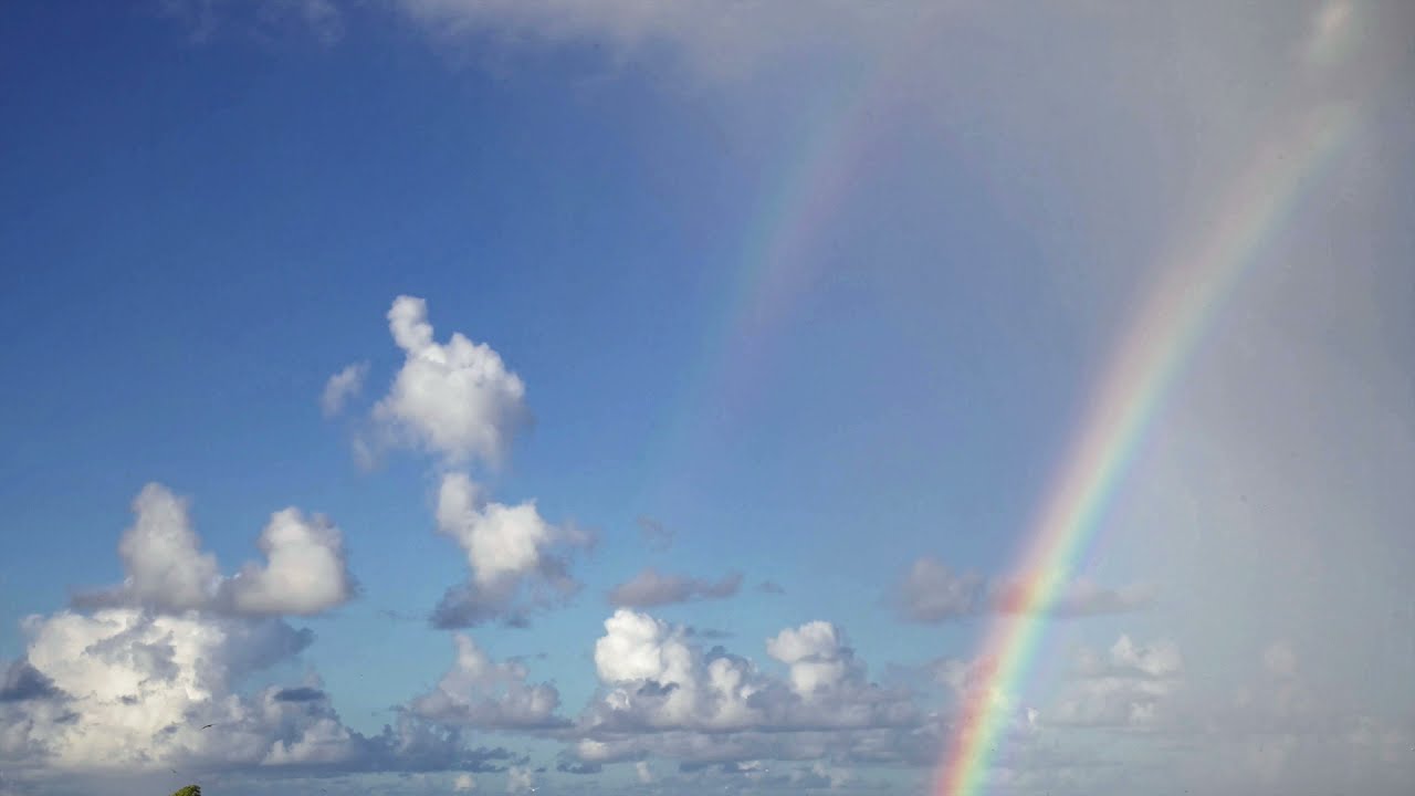 Alexey Musatov - RAINBOW 🌈  (Kacey Musgraves Cover)